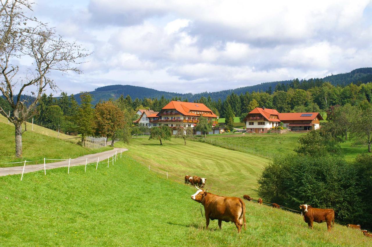 Hotel Zum Breitenberg Бад-Петерсталь-Грисбах Экстерьер фото